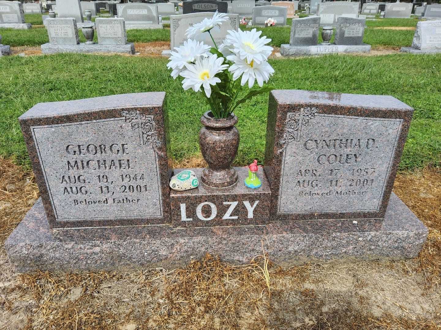 Cynthia Diane Coley Lozy's grave