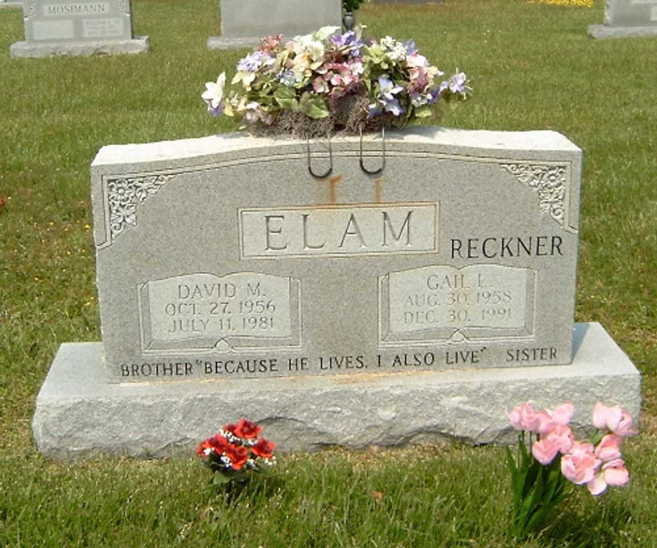 David Milton Elam's grave